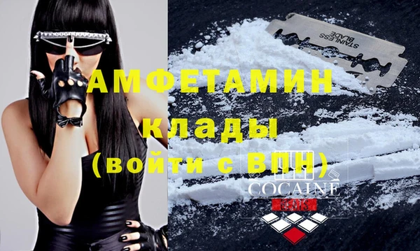 индика Киреевск