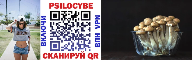KRAKEN ссылки  Краснозаводск  Галлюциногенные грибы Psilocybe  купить наркоту 